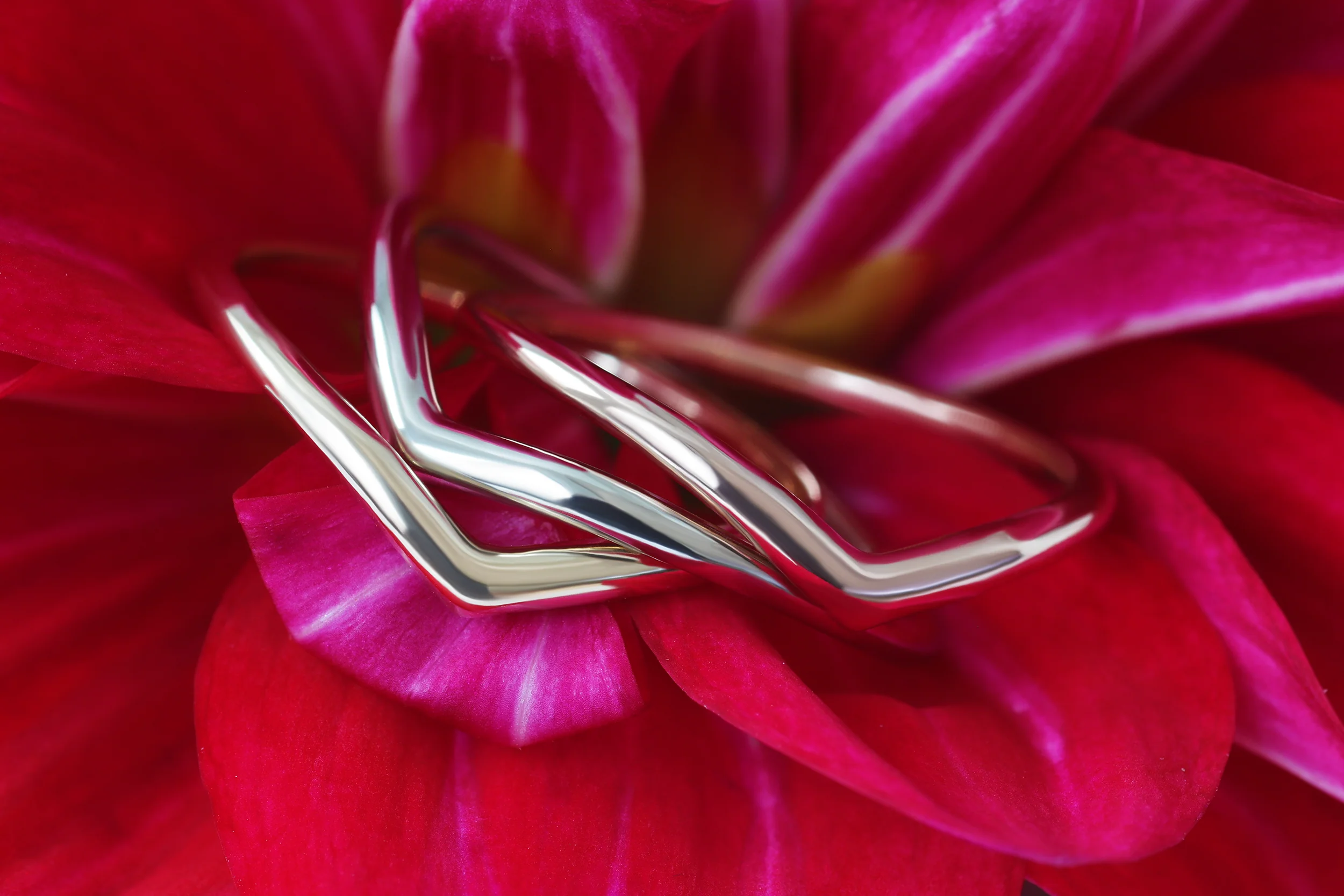 Archer / Ring - Image 3