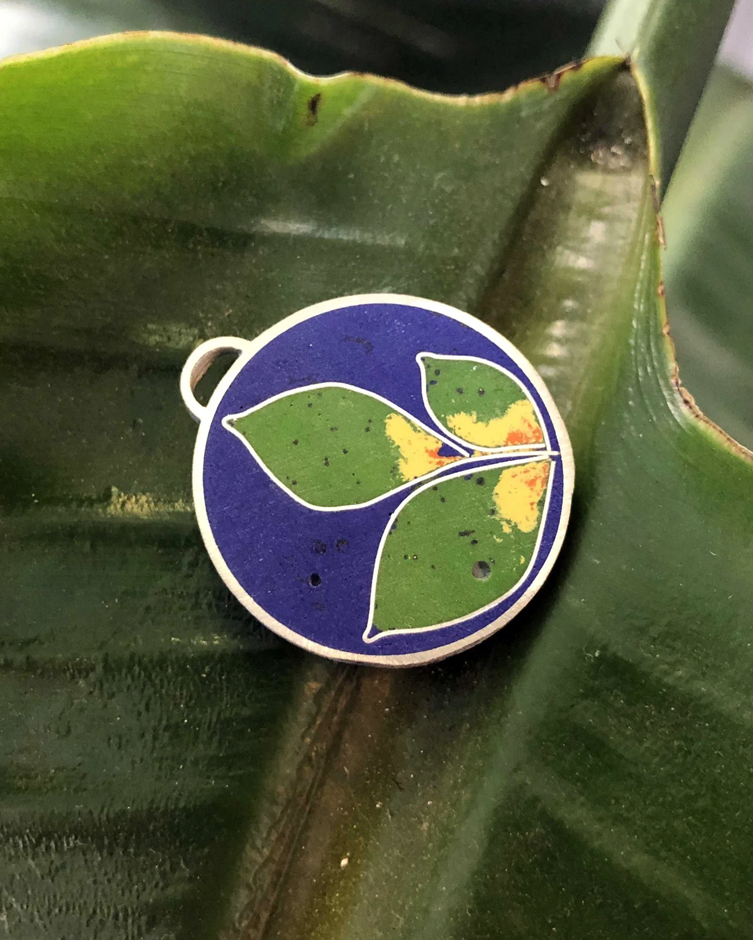 Enamel - Image 5