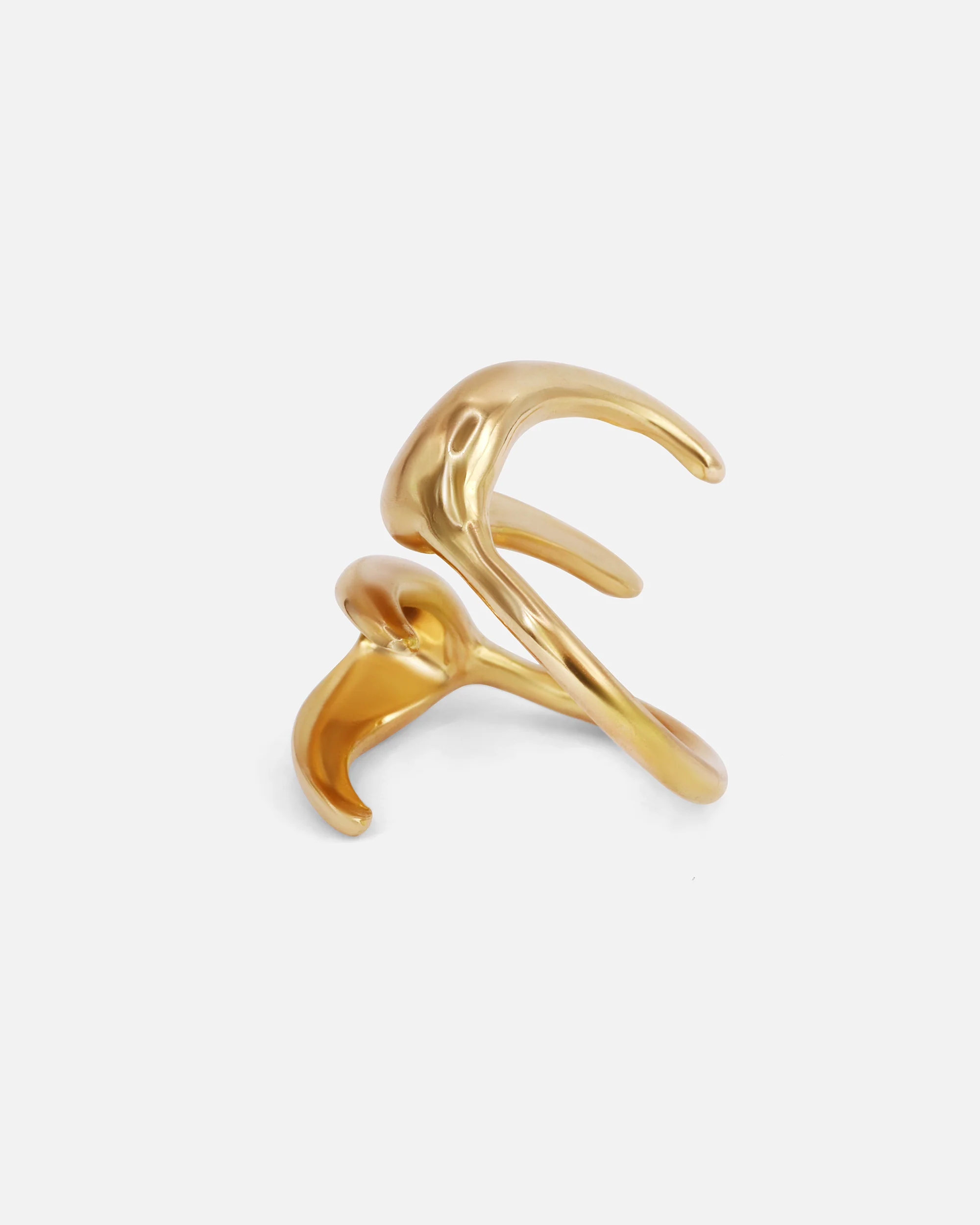 X Ring - Image 2